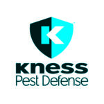 Kness Logo